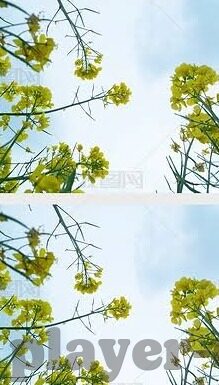 老版360足球比分预测-老版360足球比分预测，那些年我们追过的神预测，是情怀还是真功夫？